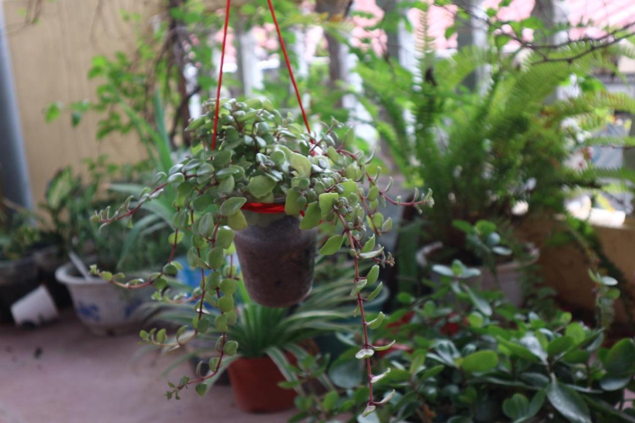Kalon Homestay, Hai Ba Trung, Hn Hanoi Luaran gambar